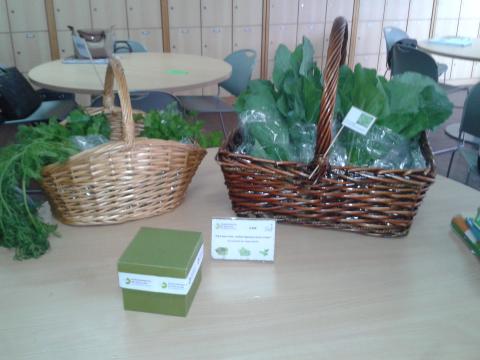 Dia da Terra /Dia Internacional Eco_Escolas: Venda dos produtos colhidos na nossa horta.